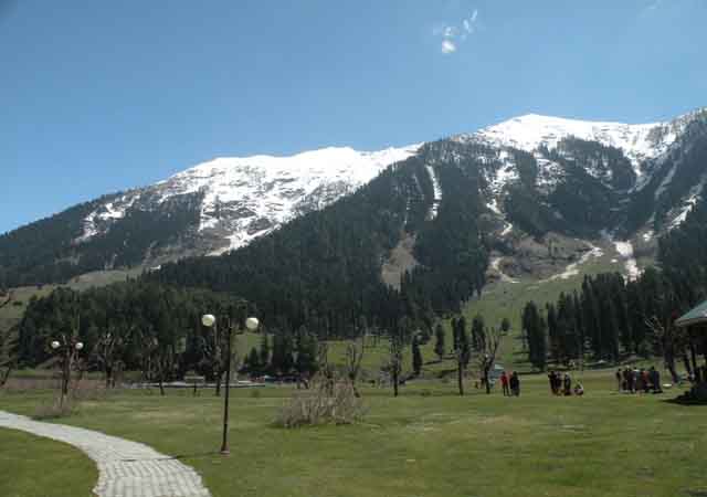  Best taxi service Operator katra